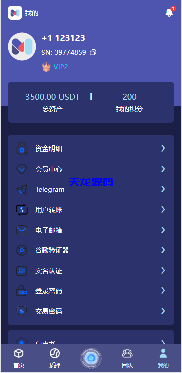 图片[9]-高端多语言自动挖矿系统源码/海外质押理财/自定义语言-天龙源码网-精品源码网站