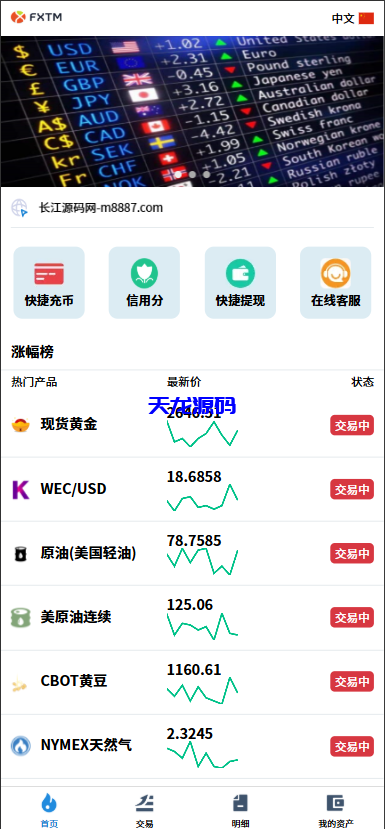 多语言海外微交易系统源码/虚拟币黄金期货外汇微盘-天龙源码网-精品源码网站