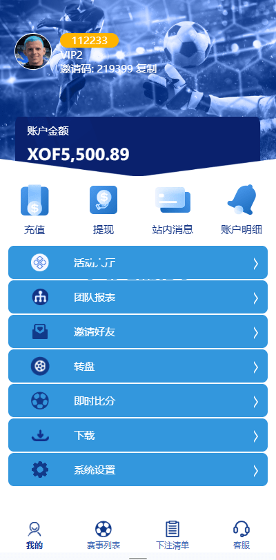 图片[6]-多语言海外反波胆系统/世界杯球盘资金盘投资理财源码/足球下注/三级分销-天龙源码网-精品源码网站
