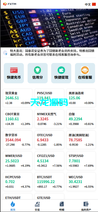 多语言微交易微盘系统/虚拟币黄金期货外汇贵金属源码-天龙源码网-精品源码网站